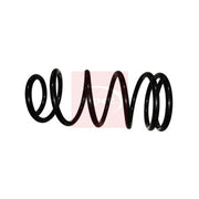 Apec Rear Suspension Coil Spring ACS1976