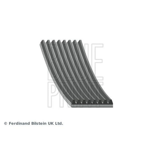 Blue Print Multi V-Ribbed Drive Belt AD08R2175