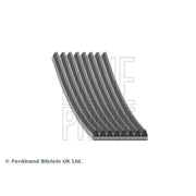 Blue Print Multi V-Ribbed Drive Belt AD08R2190