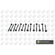 BGA Cylinder Head Bolt Set M12 BK2305
