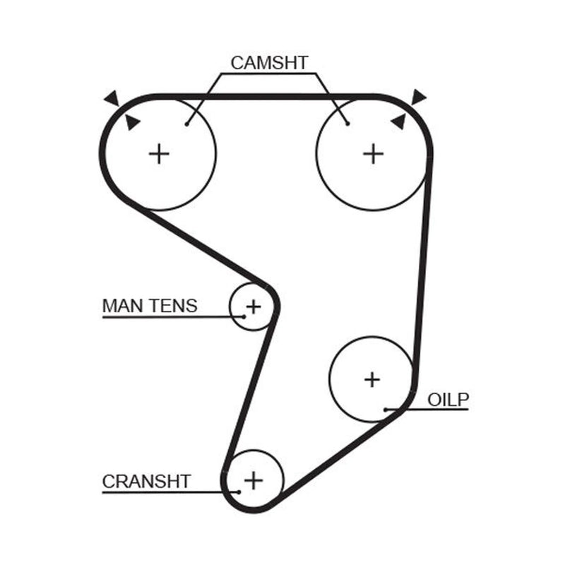 Gates Timing Belt Cambelt 169 Teeth 5196