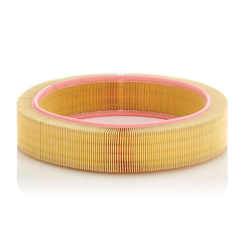 MANN-FILTER Engine Air Filter C 41 173
