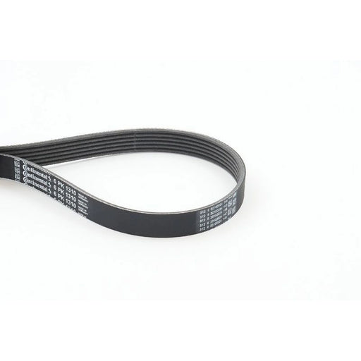 Continental CTAM Multi V-Ribbed Drive Belt 6PK1310