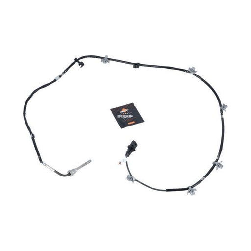 NRF Exhaust Gas Temperature Sensor after soot particulate filt 707104