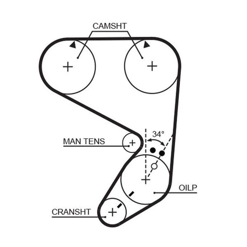Gates Timing Belt Cambelt 148 Teeth 5022