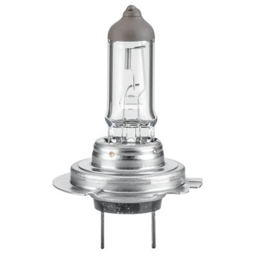 Hella Headlight Bulb H18 PY26d-1 12V 65W 8GH 217 337-101