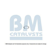 BM Catalysts Fitting Kit FK11311A FK11311A
