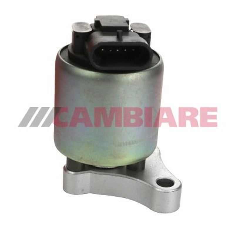 Cambiare Exhaust Gas Recirculation Valve VE360151