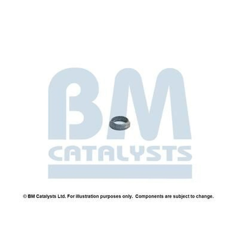 BM Catalysts Fitting Kit FK92625A FK92625A
