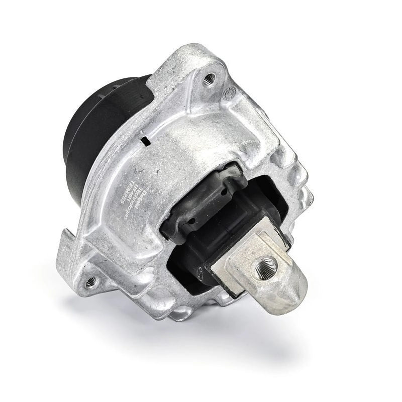 Delphi Engine Mount Mounting both sides TEM255