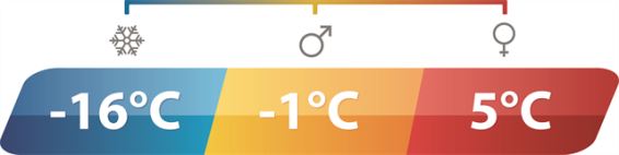 Outwell Camper Lux Double Forest Green Double Sleeping Bag - Outwell - Van Life Living