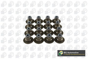 Bga VK2377 Seal Set, valve stem