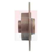 Apec 2 x Solid Rear Brake Discs SDK6665-x2