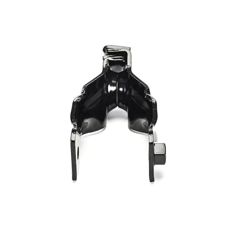 Delphi Engine Mount Mounting Rear TEM292