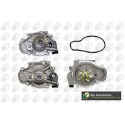 BGA Engine Cooling Water Pump CP18418