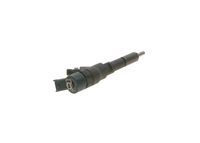 Bosch 0445110076 Injector Nozzle