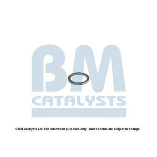 BM Catalysts Fitting Kit FK90420A FK90420A