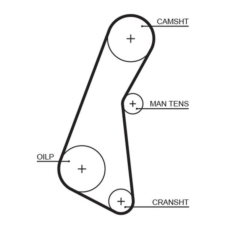 Gates Timing Belt Cambelt 111 Teeth 5121
