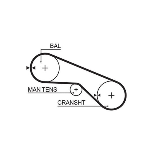 Gates Timing Belt Cambelt 55 Teeth 5025