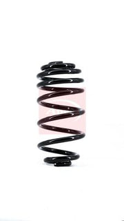 Apec Red ACS1662 Suspension Spring