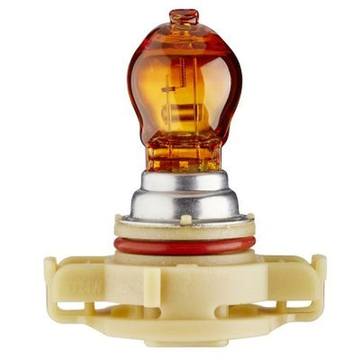 Hella Indicator Turn Signal Bulb PG20/4 12V 24W 8GA 223 569-031