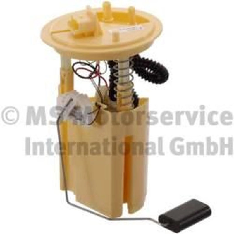 Pierburg Citreon / Fiat / Peugeot In-Tank Module 7.07795.31.0
