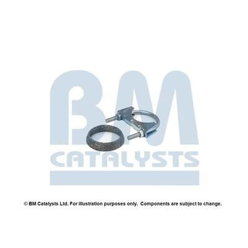 BM Catalysts Fitting Kit FK80196A FK80196A