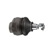 Delphi Ball Joint Lower TC635
