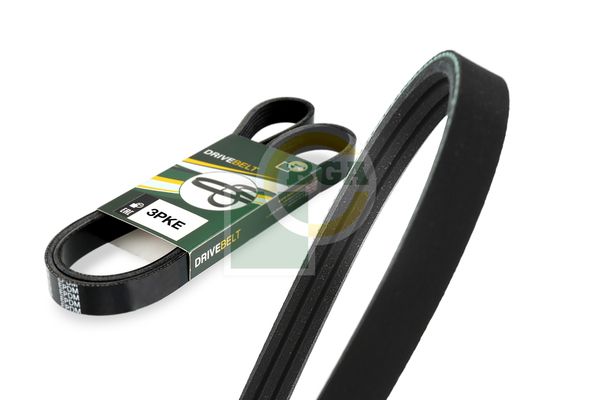 Bga Multi V-Ribbed Drive Belt 3PK576E