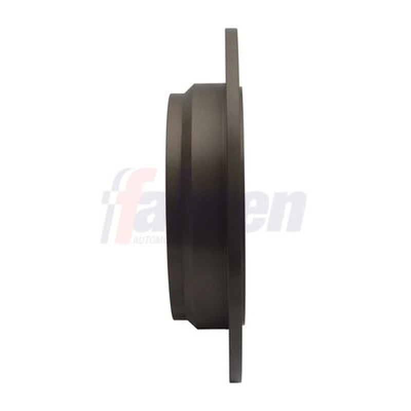 Fahren 2 x Solid Rear Brake Discs FBD6291-x2