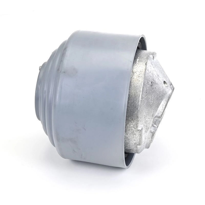 Delphi Engine Mount Mounting Front TEM134