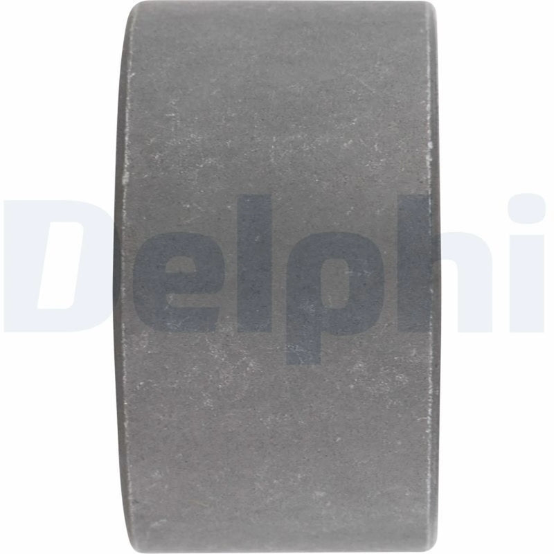 Delphi Wishbone / Control / Trailing Arm Bush TD343W