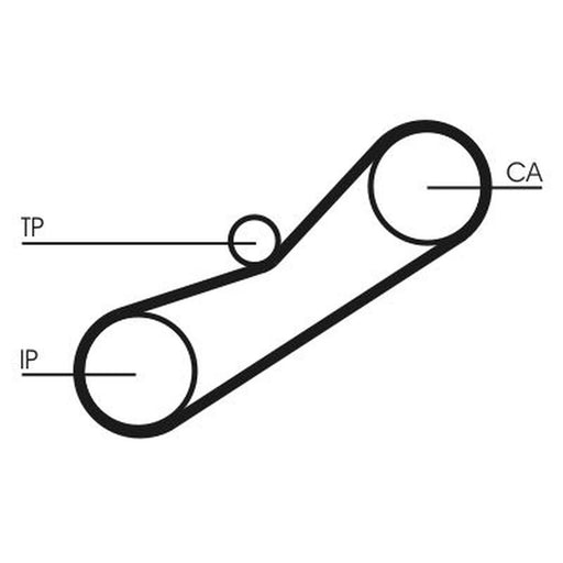 Continental CTAM Timing Belt Cambelt 78 Teeth CT950