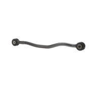 Delphi Control/Trailing Arm Rear TC6010