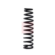 Apec Front Suspension Coil Spring ACS2310