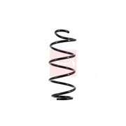 Apec Front Suspension Coil Spring ACS1648