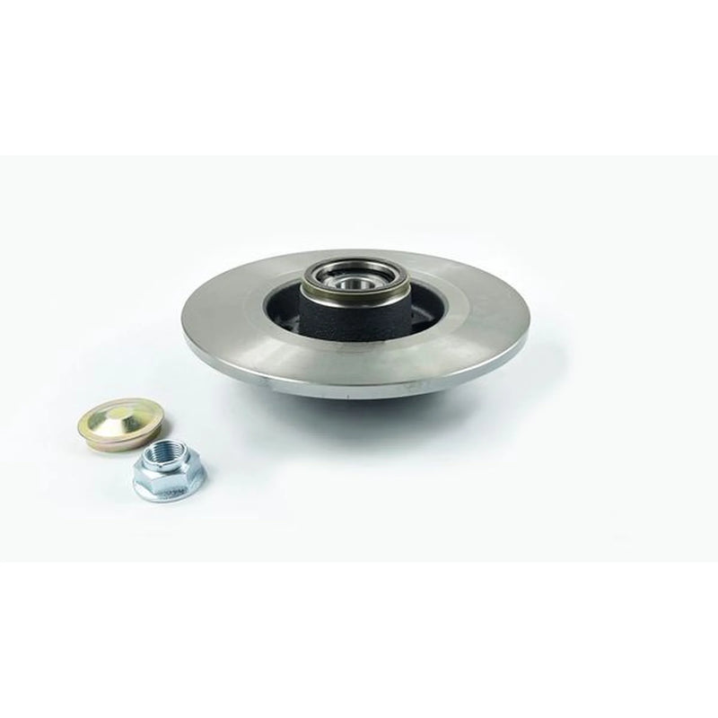 Juratek 2 x Solid Rear Brake Discs REN300C-x2
