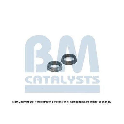 BM Catalysts Fitting Kit FK90290A FK90290A