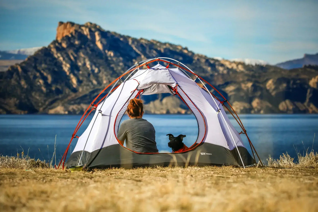 Person sitting inside a camping tent with their dog, looking out towards a scenic mountain lake, representing outdoor adventure, peaceful camping, and van life travel freedom.
