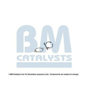 BM Catalysts Fitting Kit FK80676A FK80676A