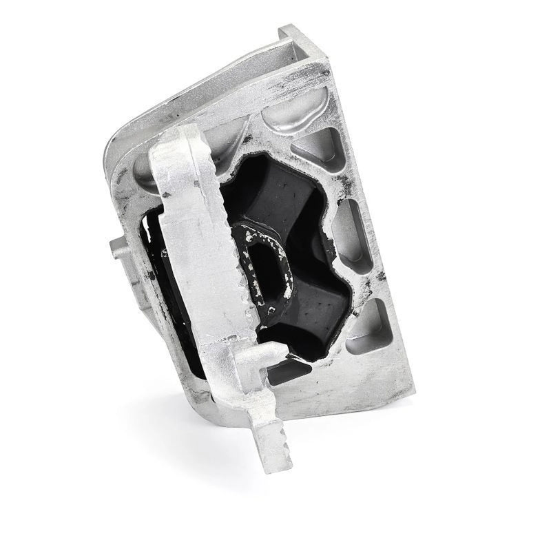 Delphi Engine Mount Mounting Right TEM293