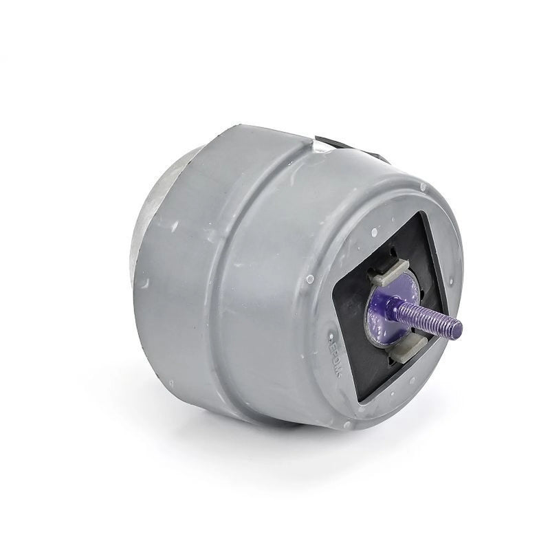 Delphi Engine Mount Mounting Front TEM234