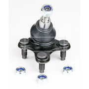Borg & Beck Ball Joint Lower BBJ5783