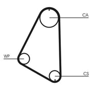 Continental CTAM Timing Belt Cambelt 101 Teeth CT526