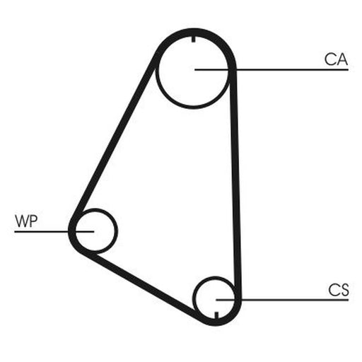 Continental CTAM Timing Belt Cambelt 101 Teeth CT526
