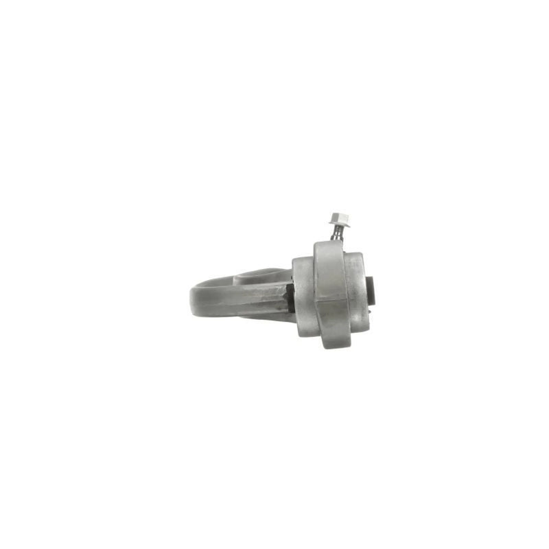 Delphi Control/Trailing Arm Rear TC6391
