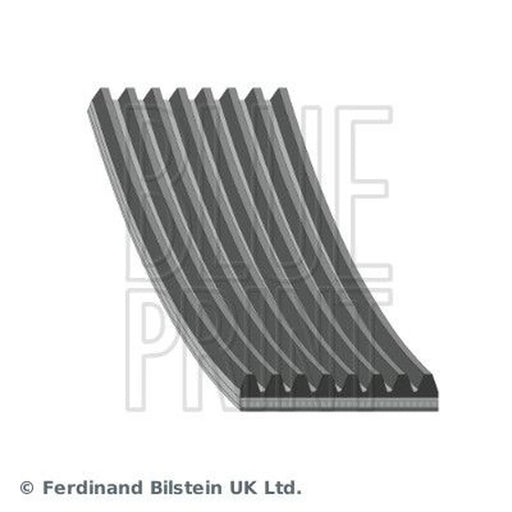Blue Print Multi V-Ribbed Drive Belt AD08R1225