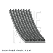 Blue Print Multi V-Ribbed Drive Belt AD08R1295