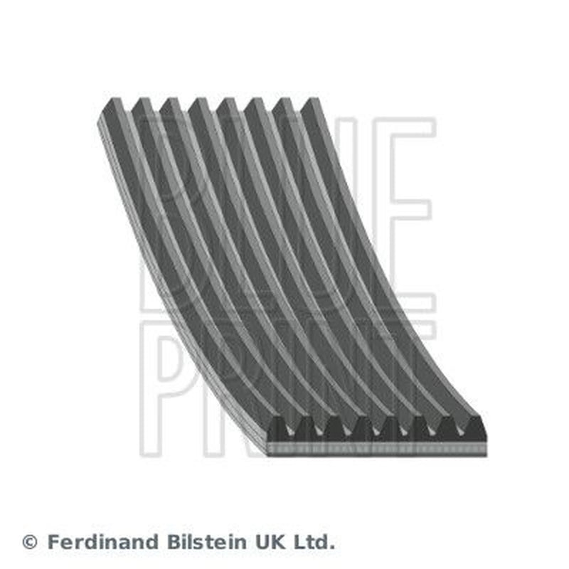 Blue Print Multi V-Ribbed Drive Belt AD08R1295