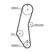 Gates Timing Belt Cambelt 117 Teeth 5018